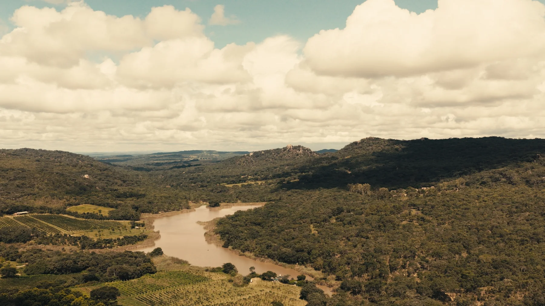 Bushman Rock estate landscape