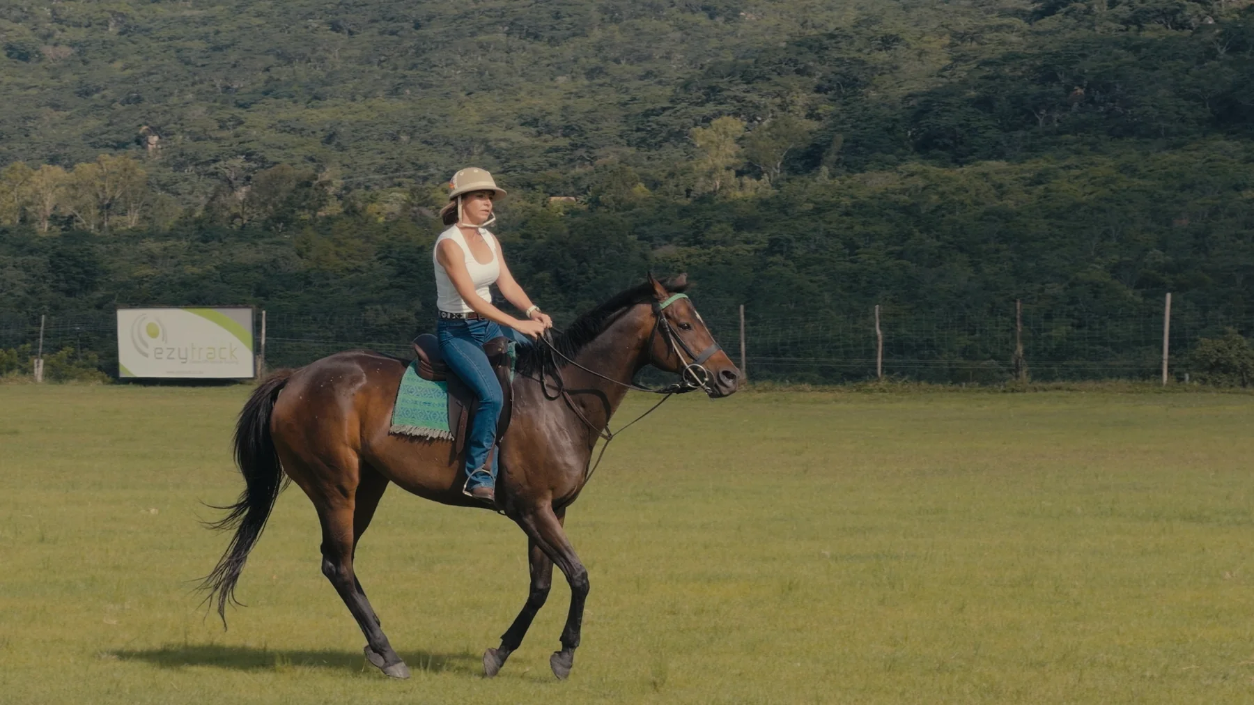 Equestrian life