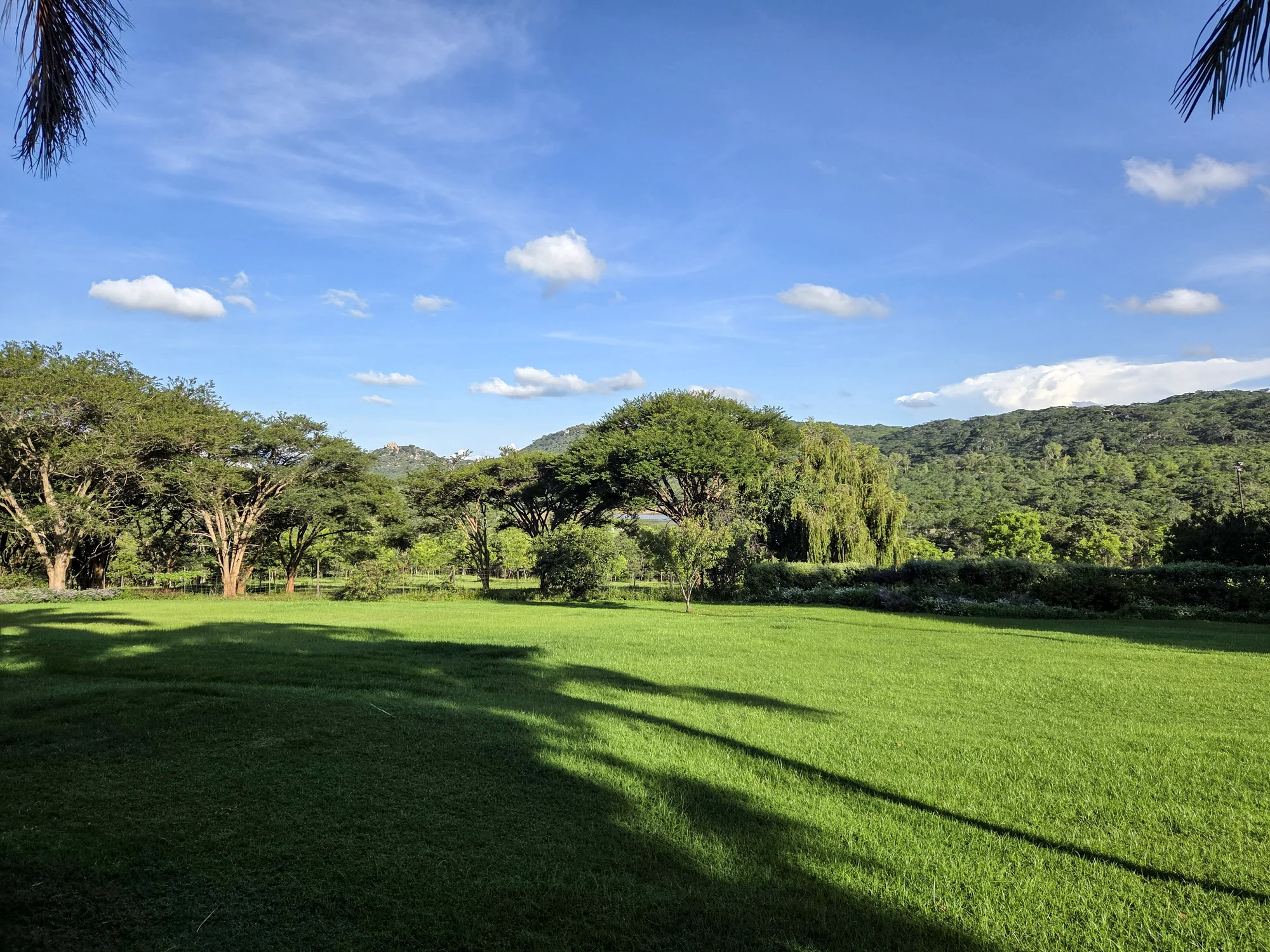 Established estate lawns