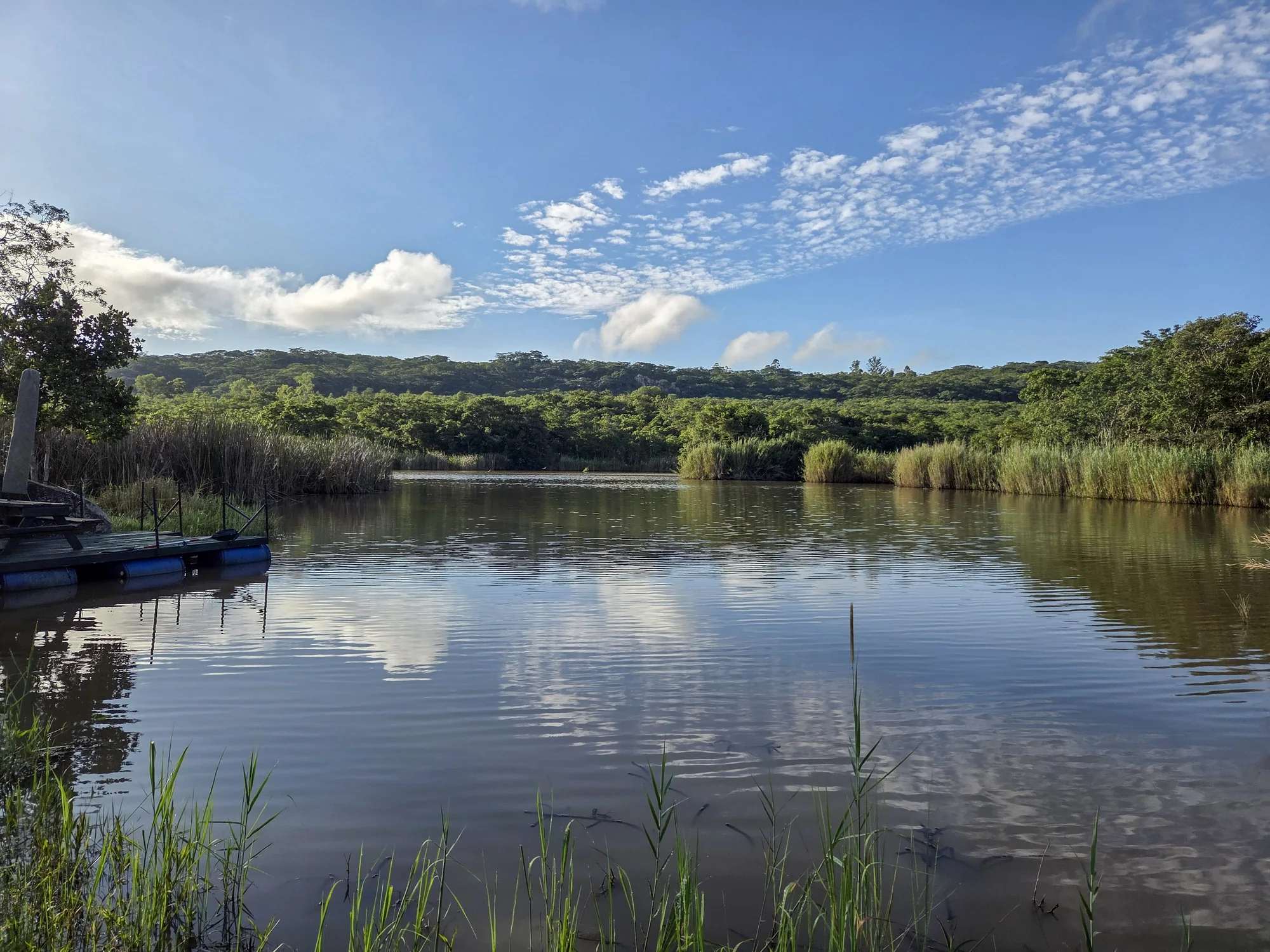Water and woodland at Bushman Rock