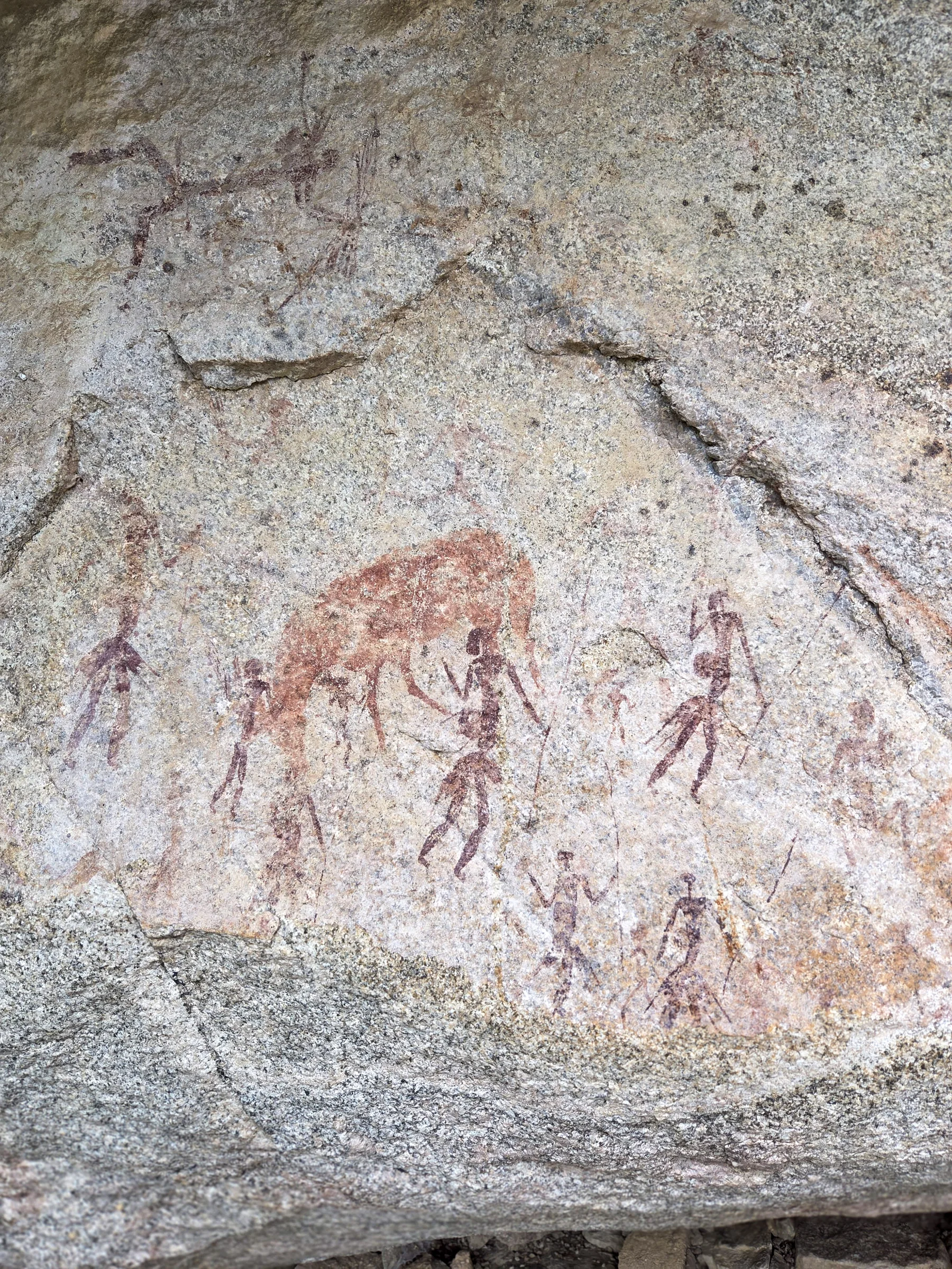 Rock paintings at Bushman Rock